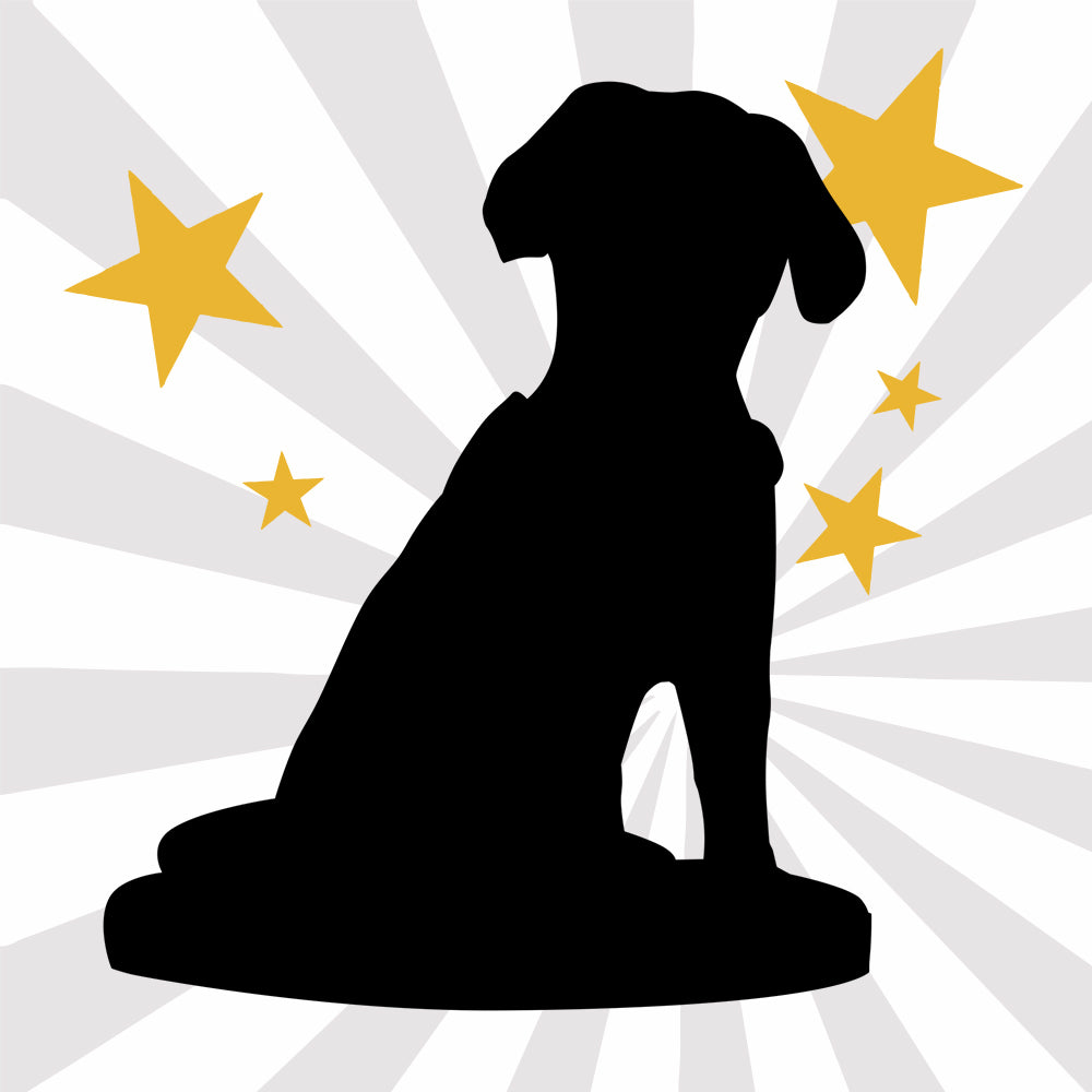 Volledig Gepersonaliseerde Bobblehead – 1 Dier of Huisdier van Foto (Stationair Hoofd)